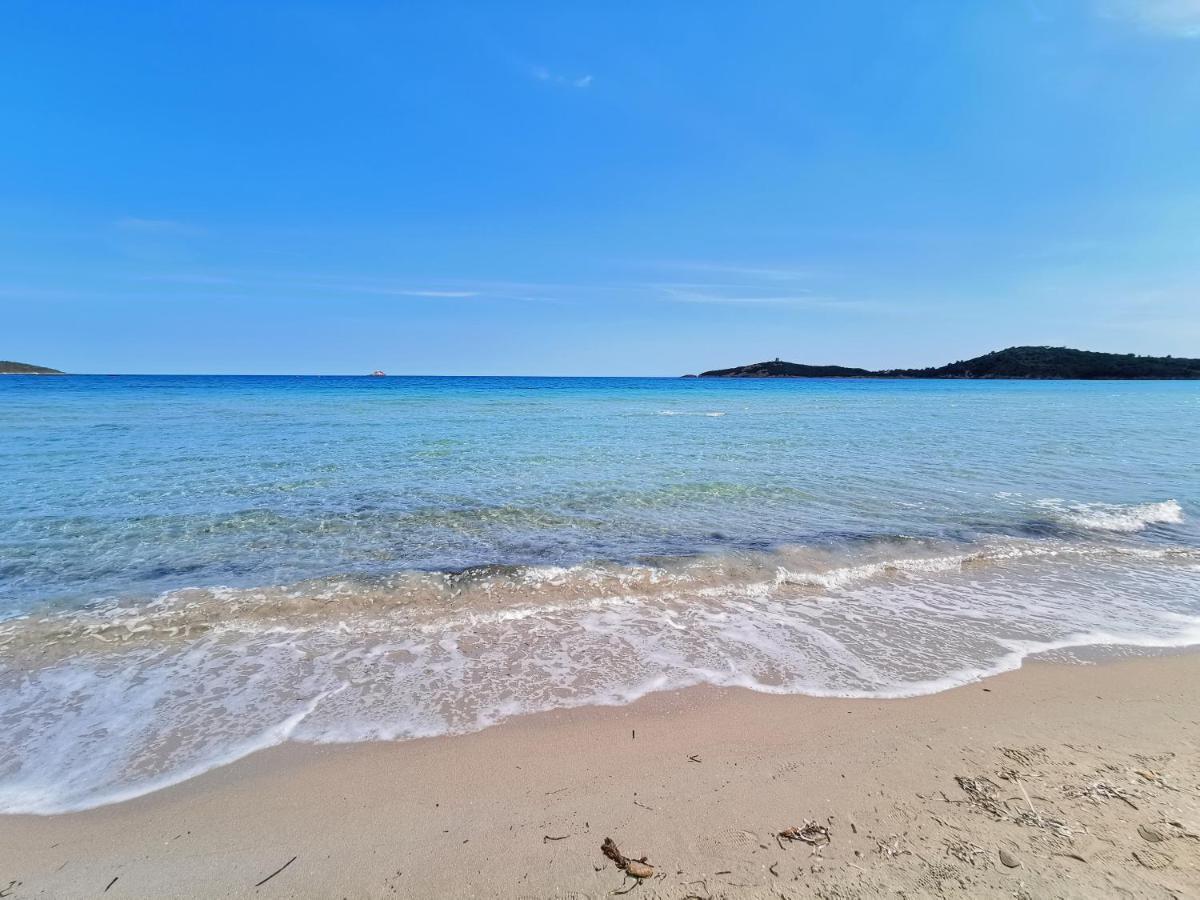 Appartement Jardin Et Piscine Les Anges Du Maquis Location Corse-Du-Sud Conca Esterno foto